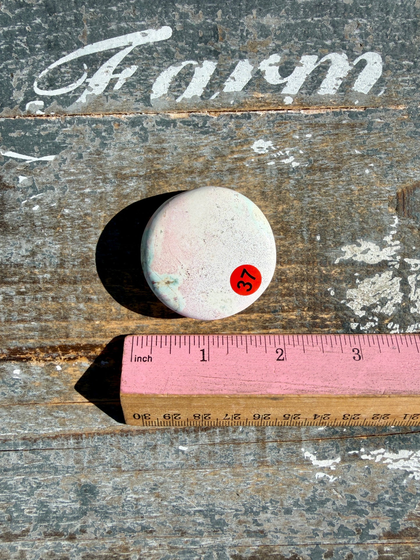 Colorful Unicorn Jasper Medallion | India | Opt 37