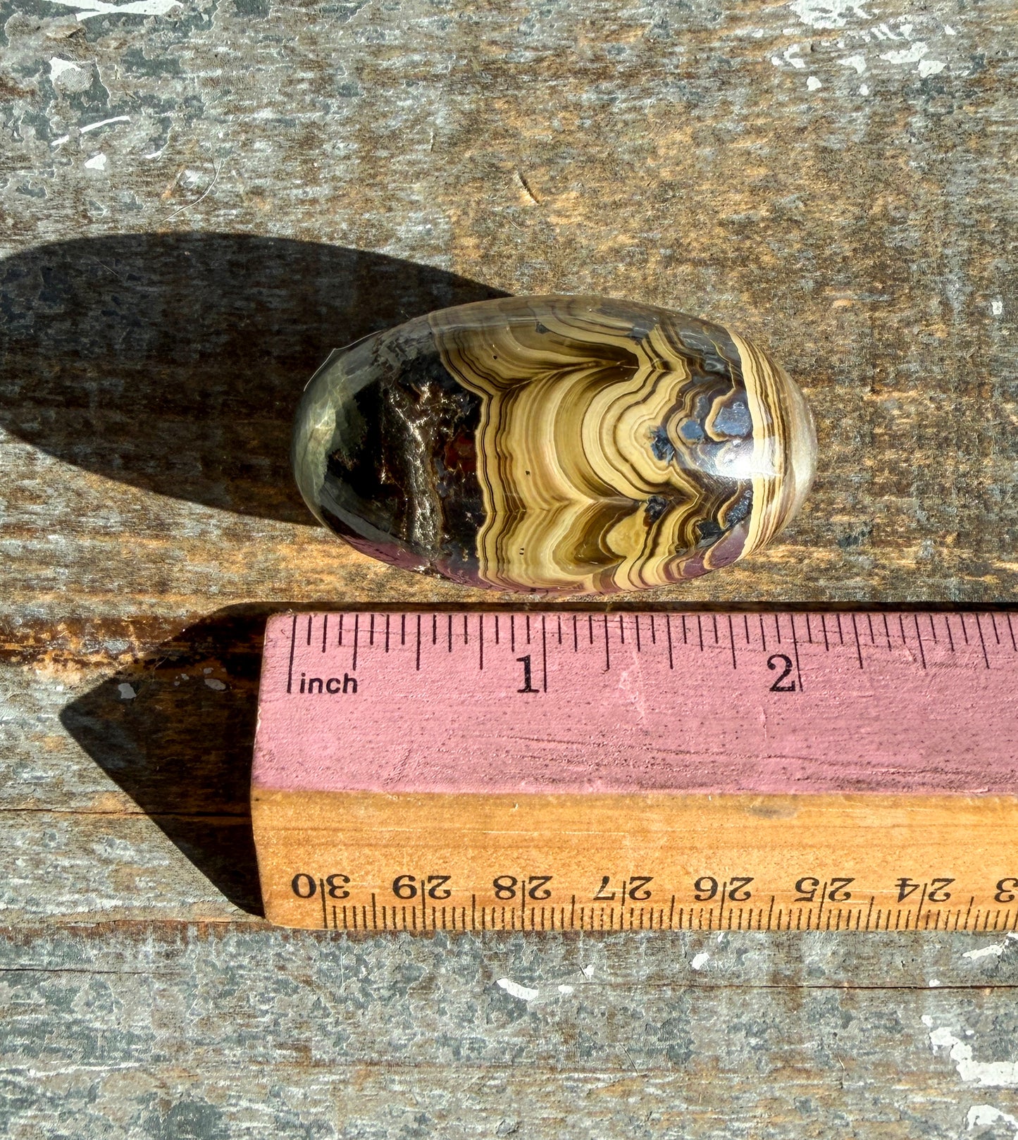 Gorgeous Polish Schalenblende Lingam | Opt C