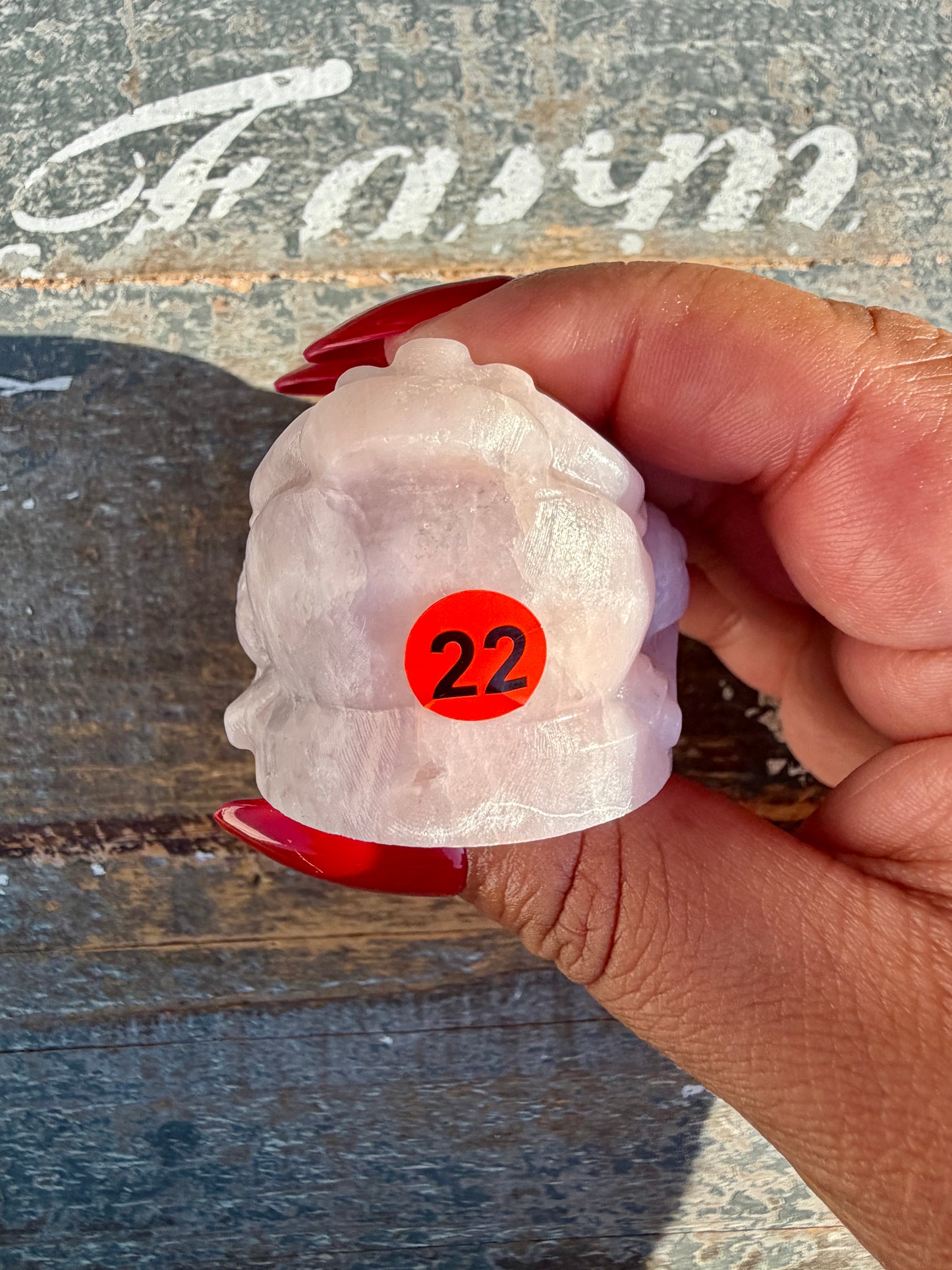 Gorgeous Pastel Pink Opal Money Toad | Opt 22