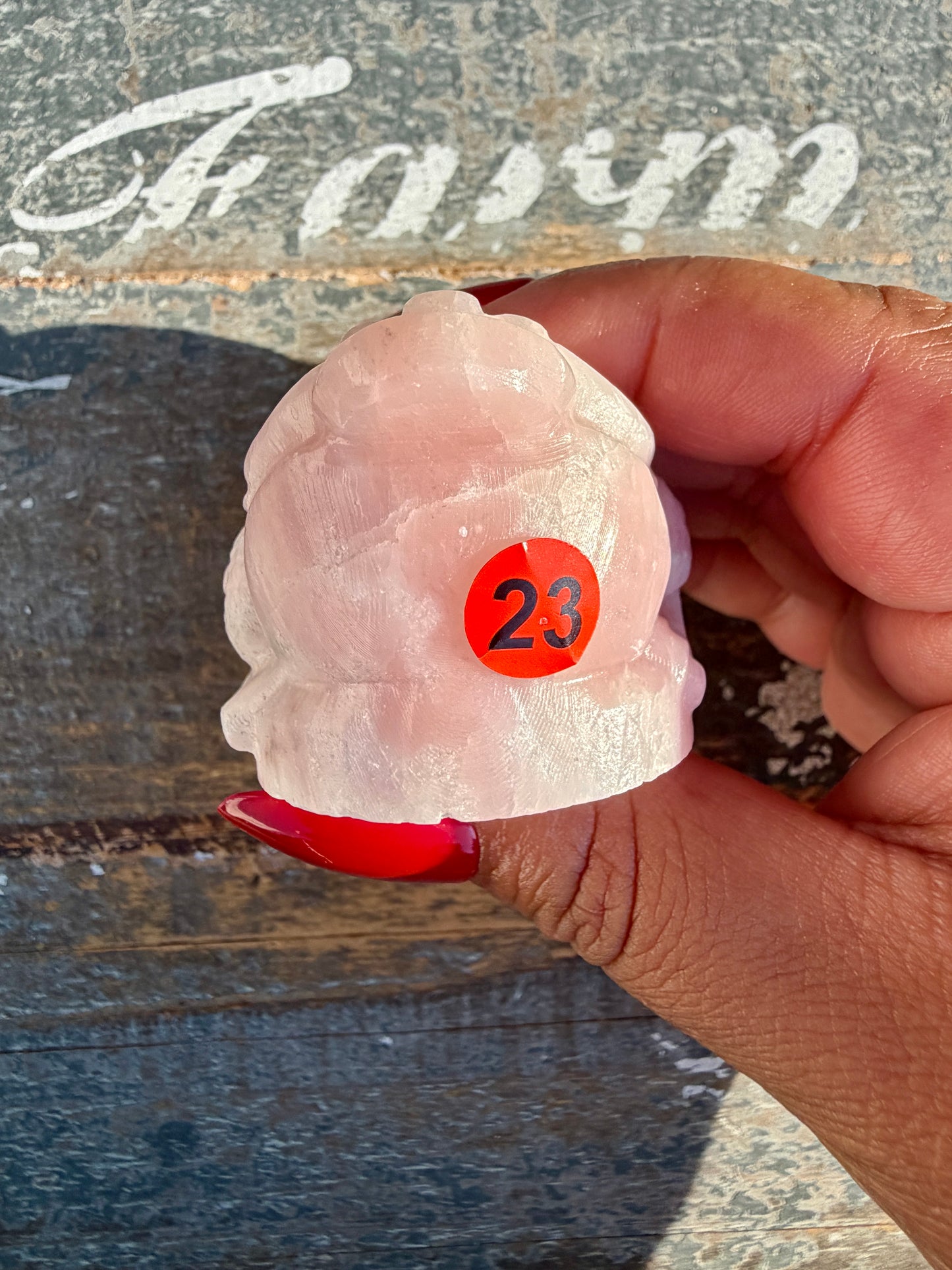 Gorgeous Pastel Pink Opal Money Toad | Opt 23