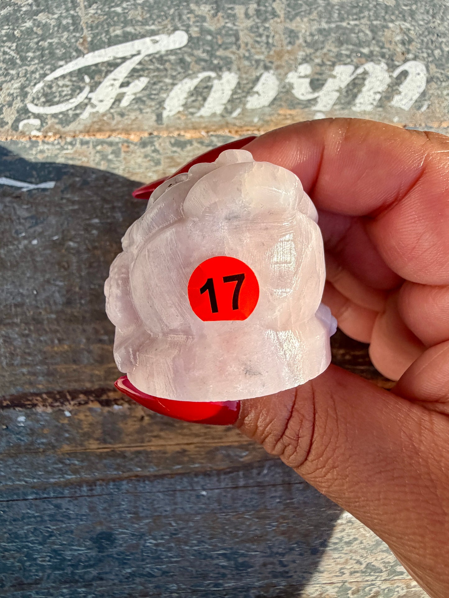 Gorgeous Pastel Pink Opal Money Toad | Opt 17