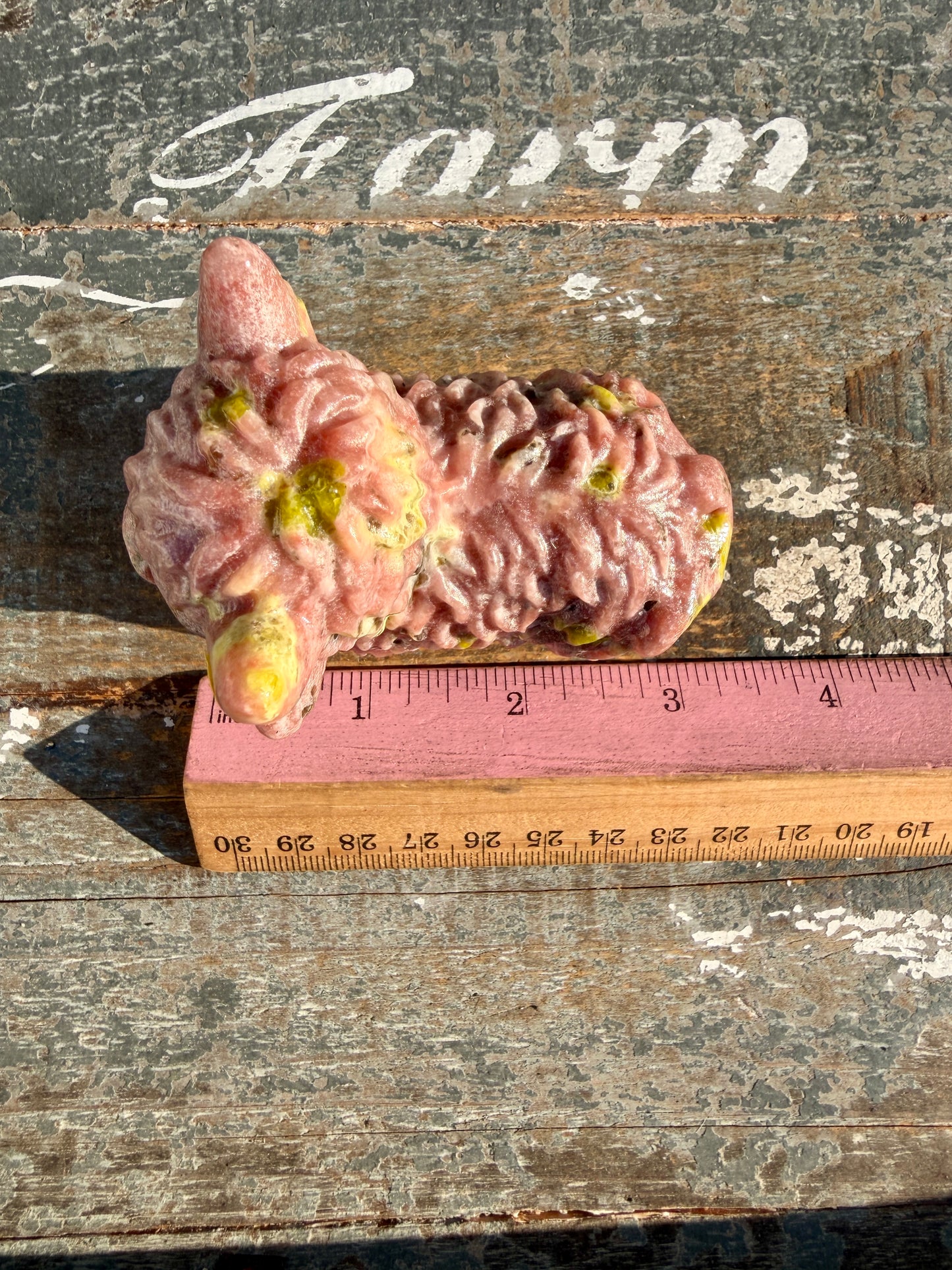 Adorable Peach Blossom Tourmaline Highland Cow | Opt V