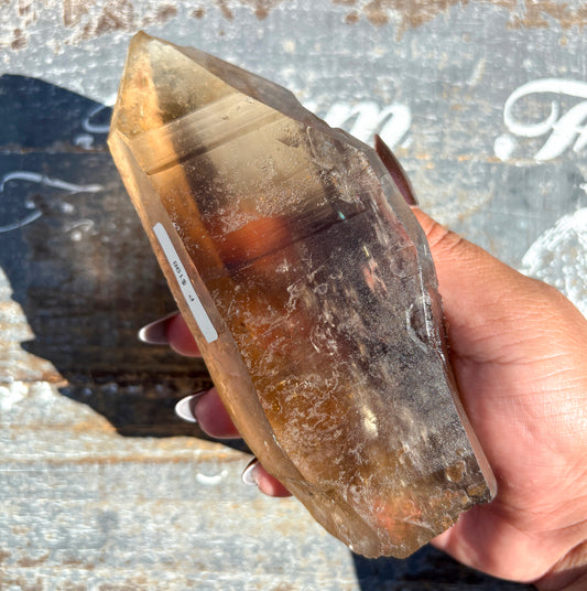 Gorgeous Smoky Lemurian Quartz from Brazil | P