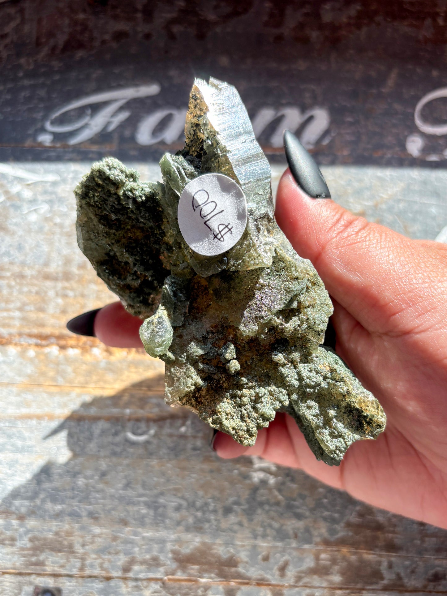 Rare High-Altitude Himalayan Quartz with Chlorite Inclusions – Collector’s Piece from India