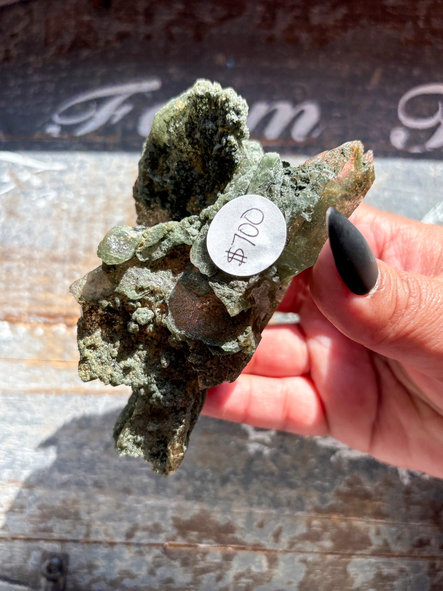 Rare High-Altitude Himalayan Quartz with Chlorite Inclusions – Collector’s Piece from India
