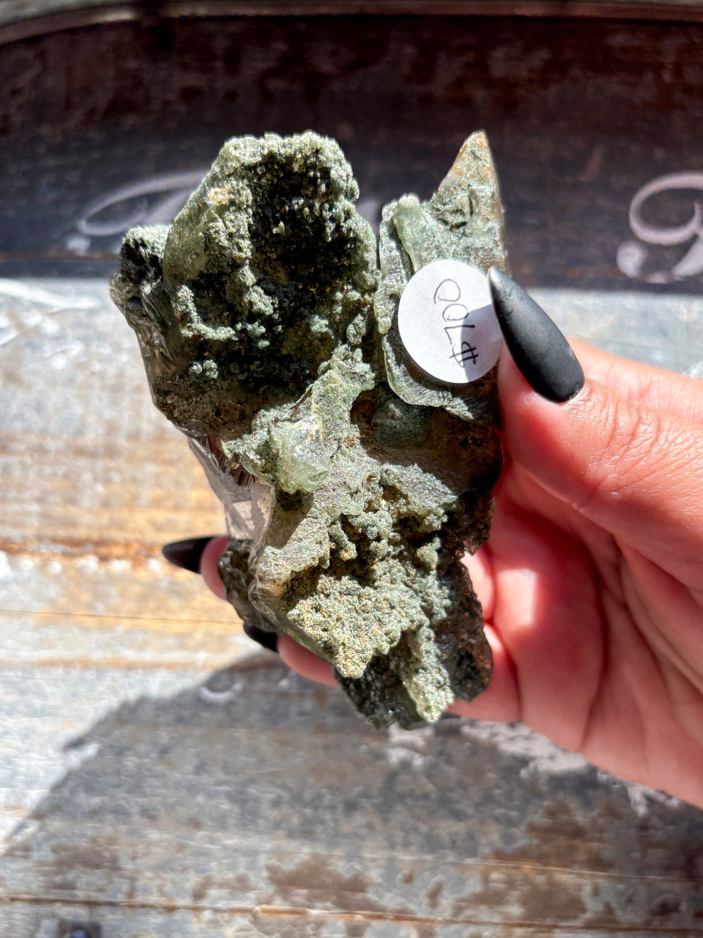 Rare High-Altitude Himalayan Quartz with Chlorite Inclusions – Collector’s Piece from India