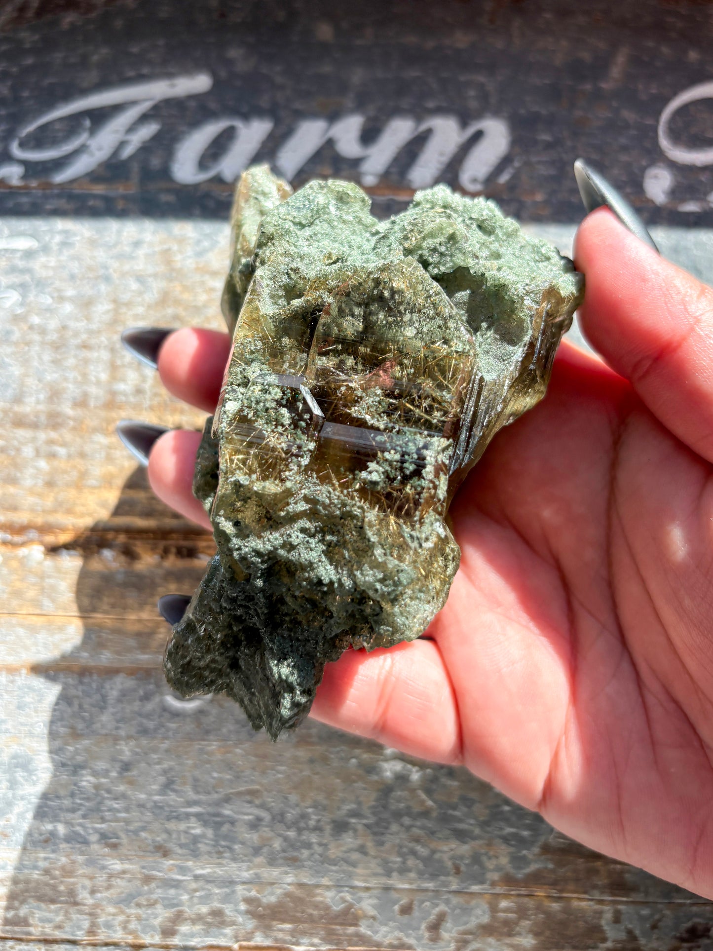 Rare High-Altitude Himalayan Quartz with Chlorite Inclusions – Collector’s Piece from India