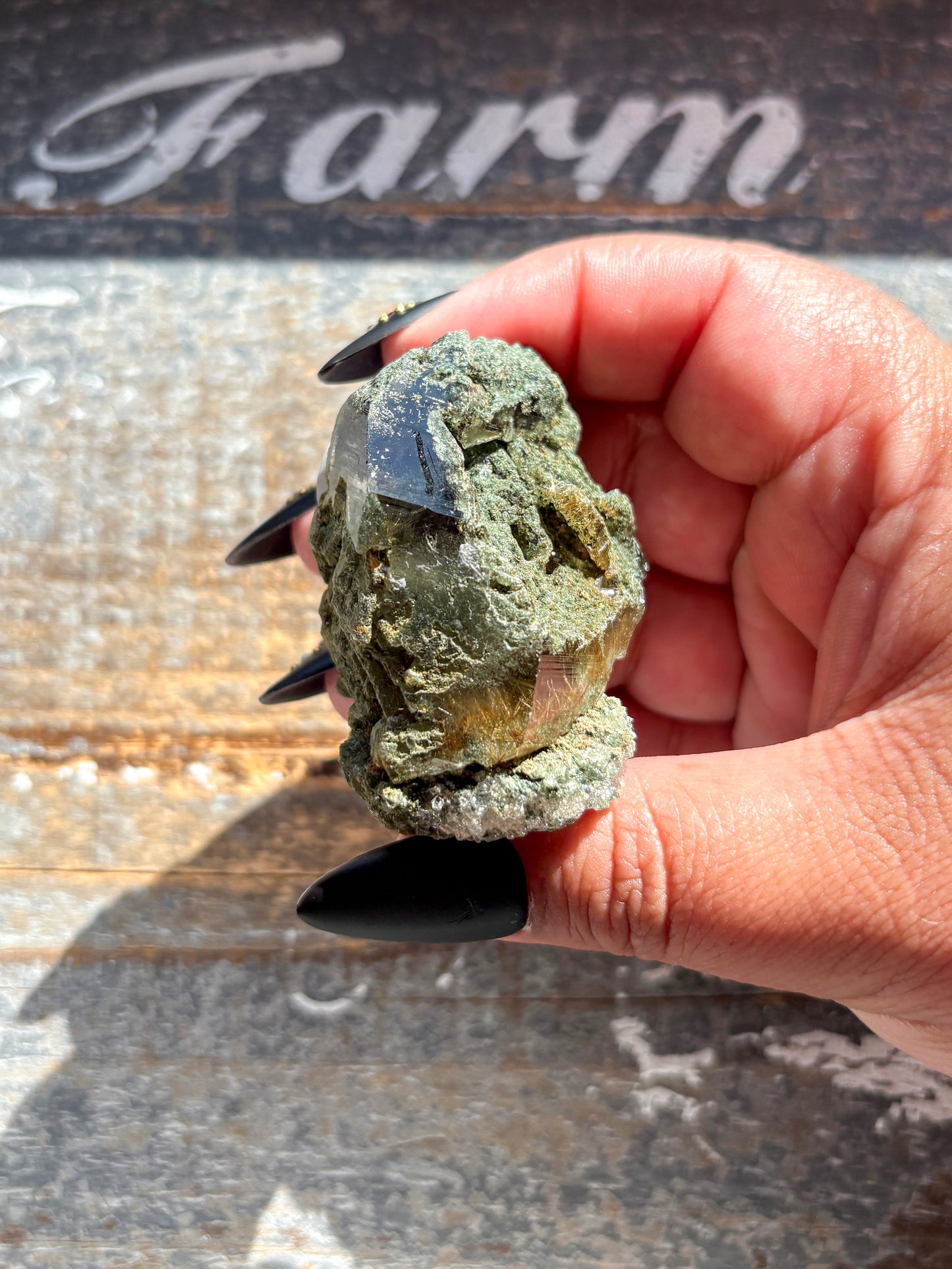 Rare High-Altitude Himalayan Quartz with Chlorite Inclusions – Collector’s Piece from India