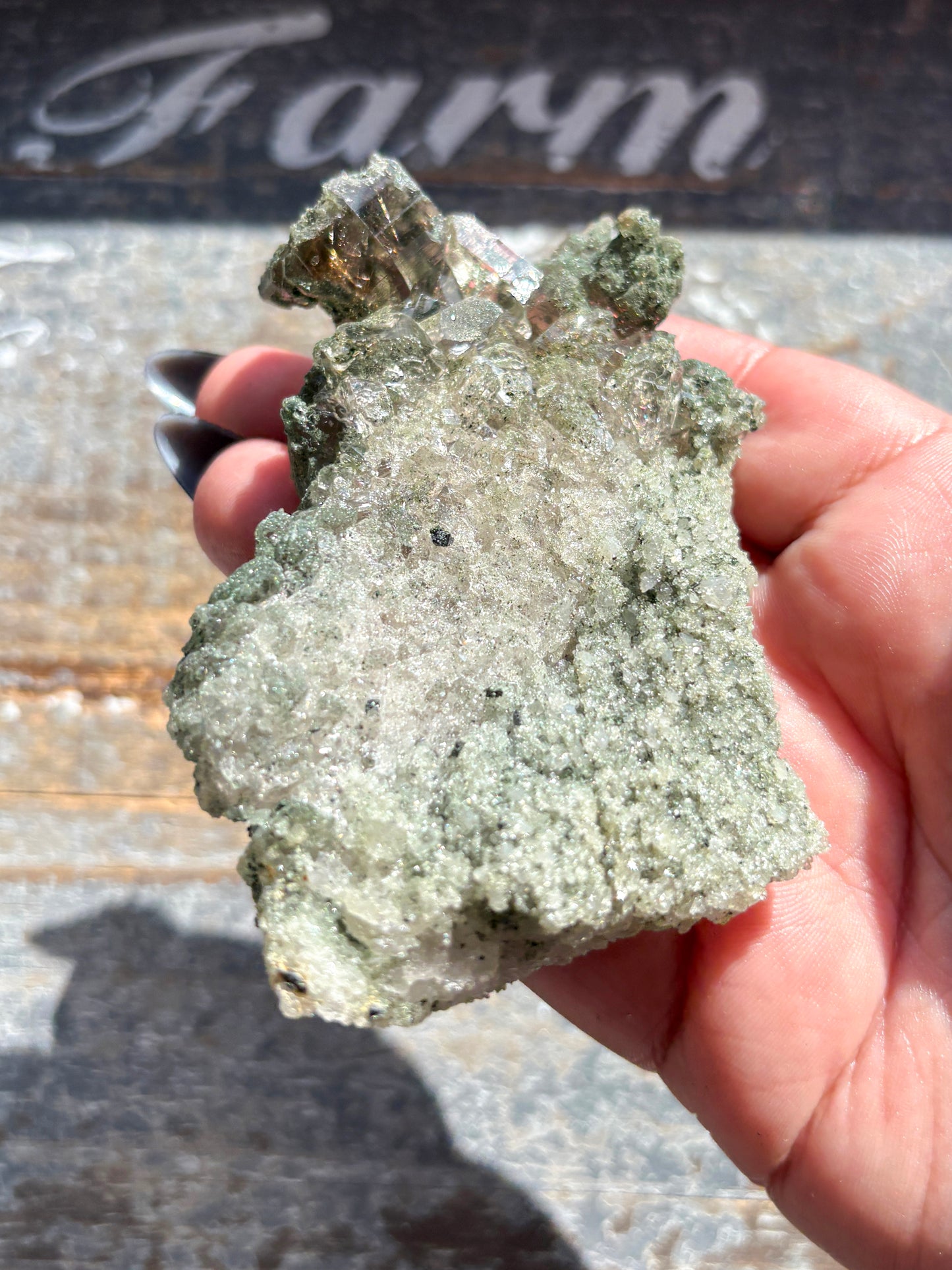 Rare High-Altitude Himalayan Quartz with Chlorite Inclusions – Collector’s Piece from India