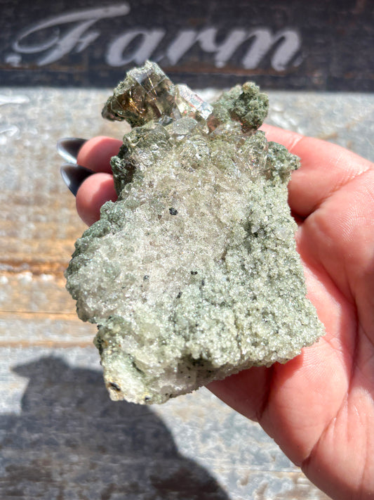 Rare High-Altitude Himalayan Quartz with Chlorite Inclusions – Collector’s Piece from India