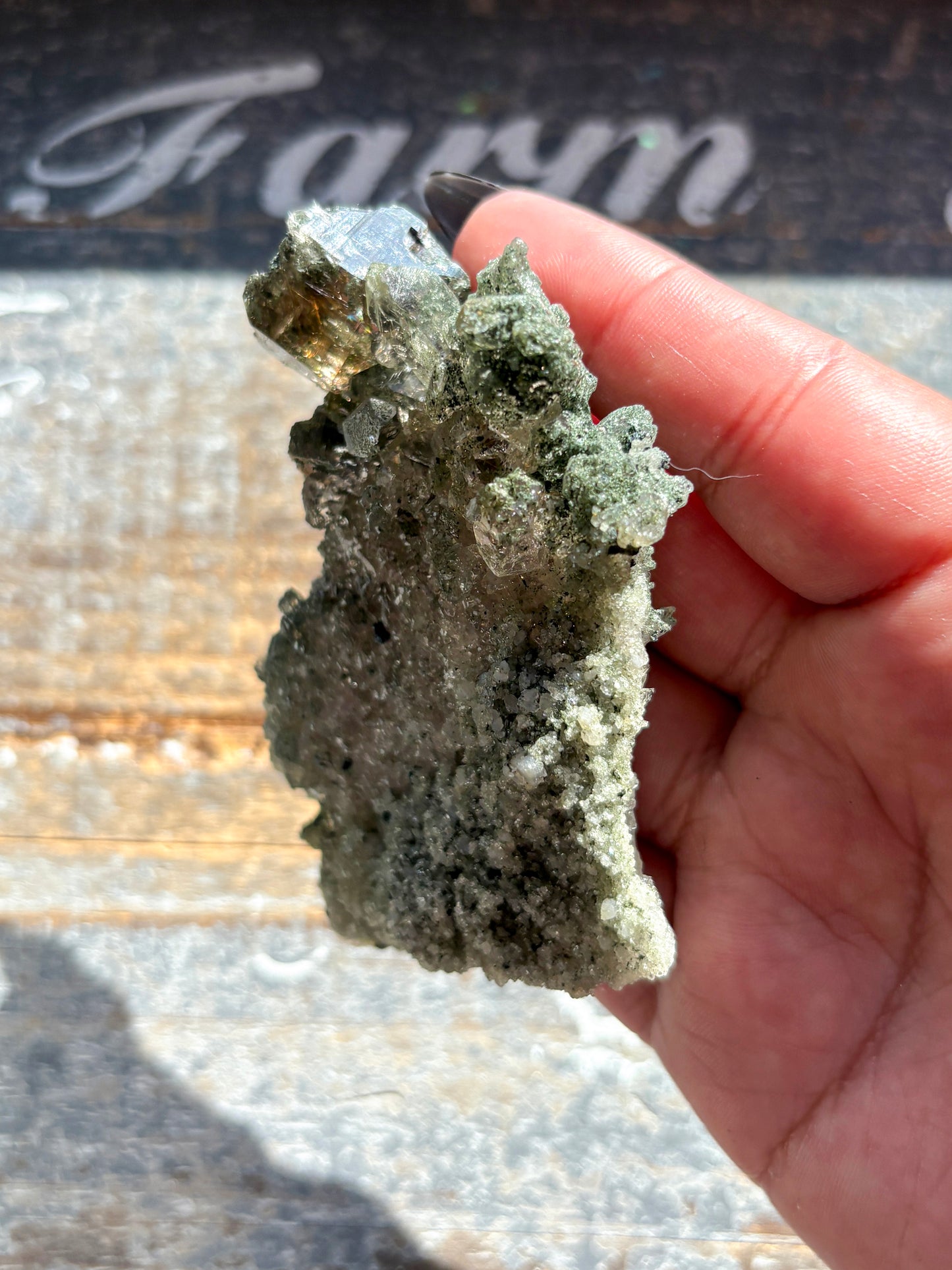 Rare High-Altitude Himalayan Quartz with Chlorite Inclusions – Collector’s Piece from India