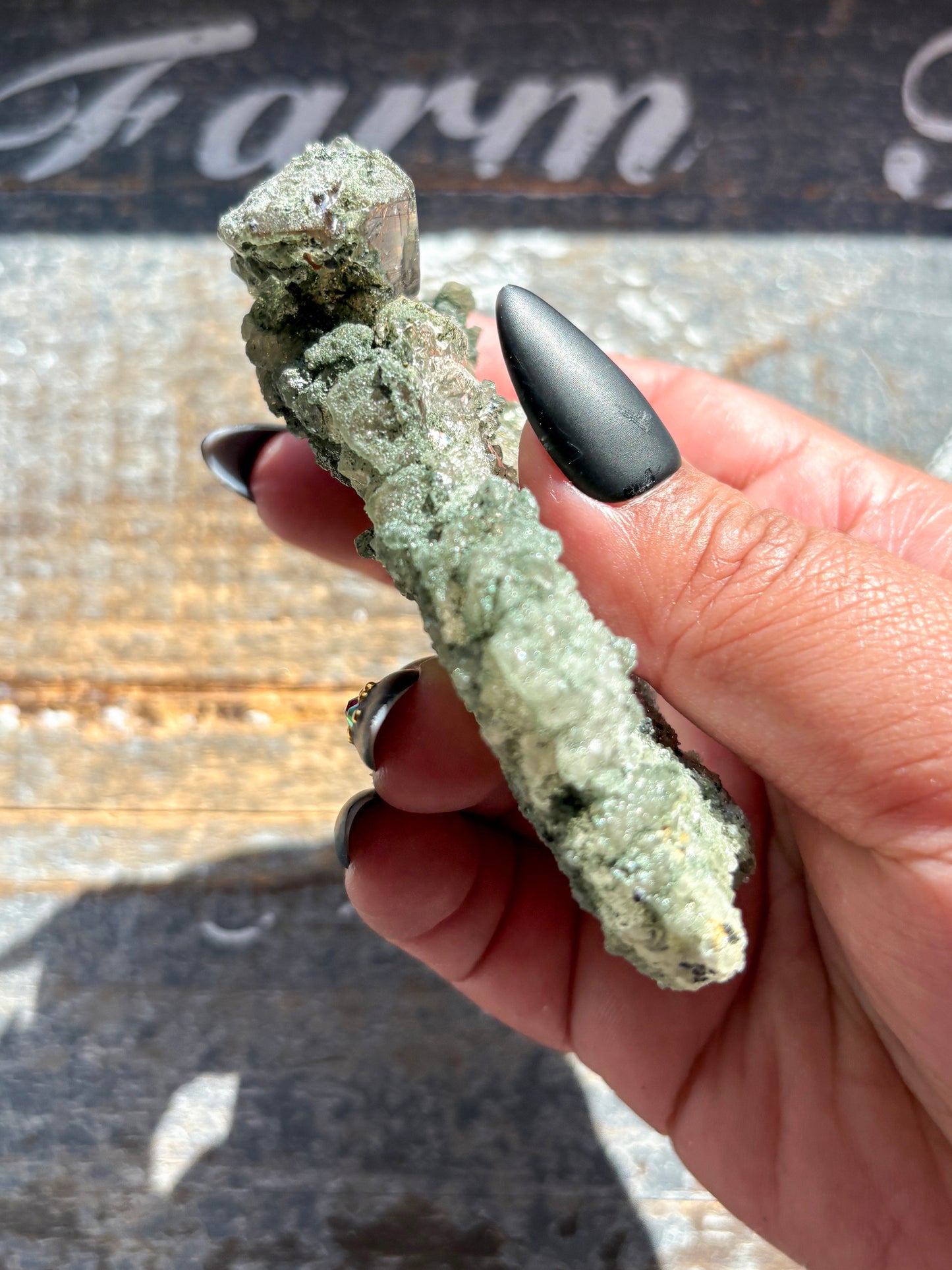 Rare High-Altitude Himalayan Quartz with Chlorite Inclusions – Collector’s Piece from India
