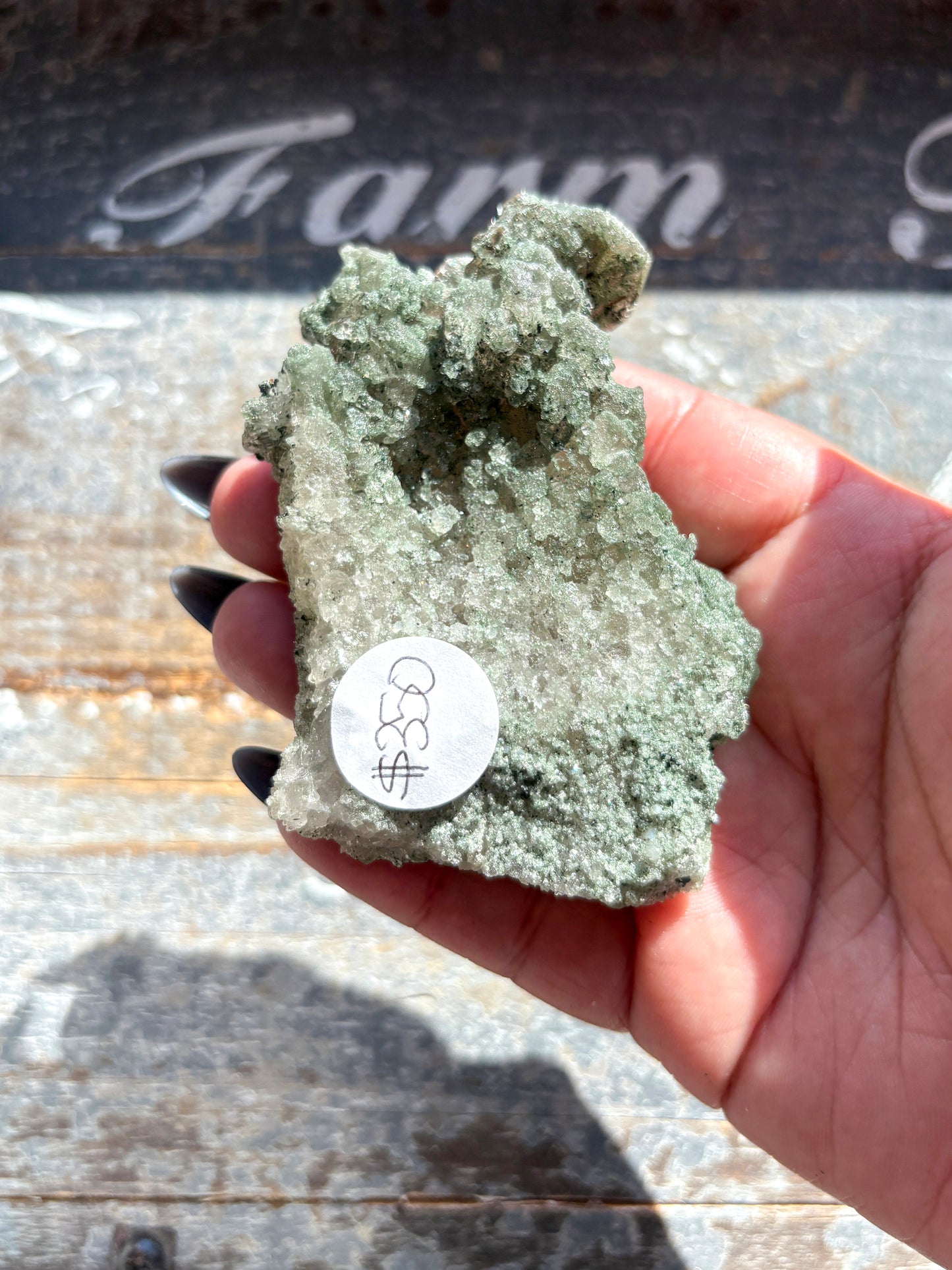 Rare High-Altitude Himalayan Quartz with Chlorite Inclusions – Collector’s Piece from India