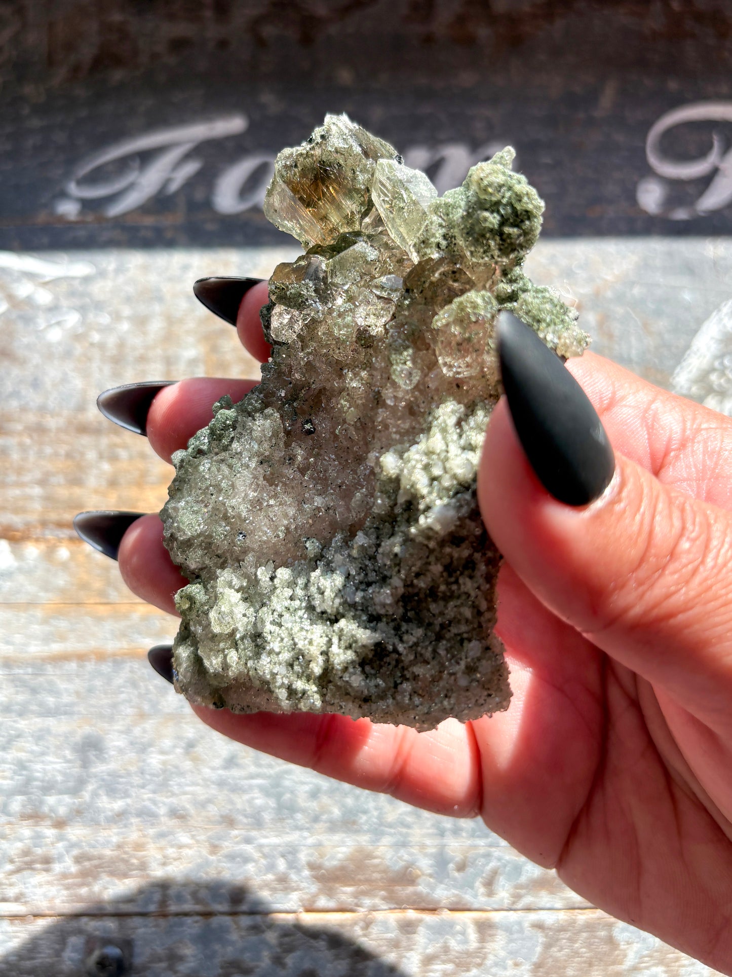 Rare High-Altitude Himalayan Quartz with Chlorite Inclusions – Collector’s Piece from India