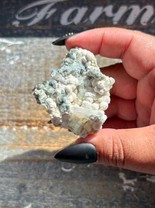 Rare White Botryoidal Gyrolite with Gemmy Green Apophyllite – Stunning Combo Mineral from India