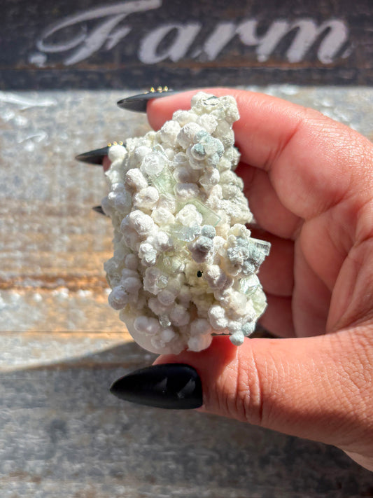 Rare White Botryoidal Gyrolite with Gemmy Green Apophyllite – Stunning Combo Mineral from India