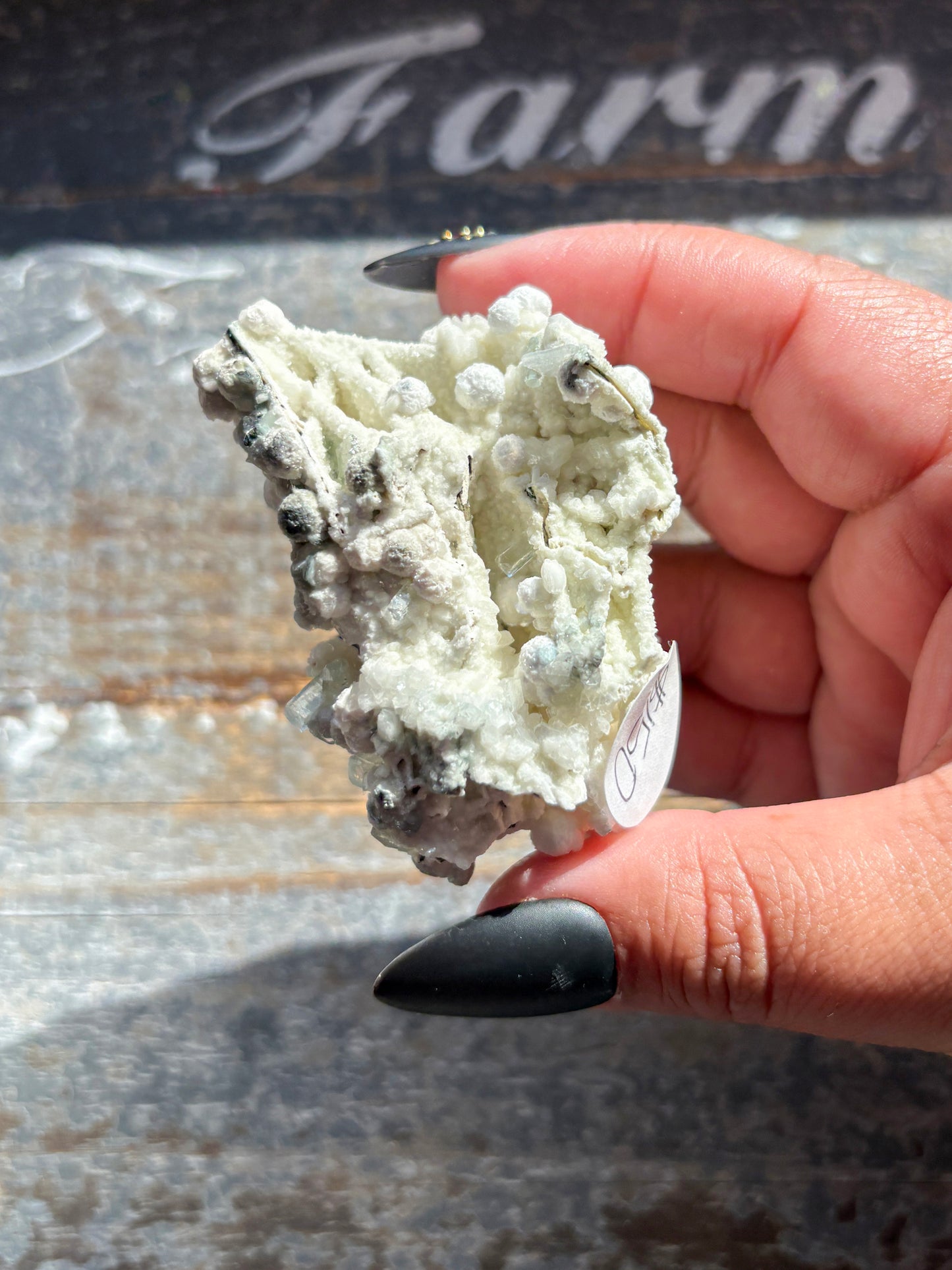 Rare White Botryoidal Gyrolite with Gemmy Green Apophyllite – Stunning Combo Mineral from India