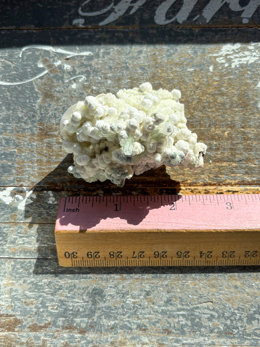 Rare White Botryoidal Gyrolite with Gemmy Green Apophyllite – Stunning Combo Mineral from India