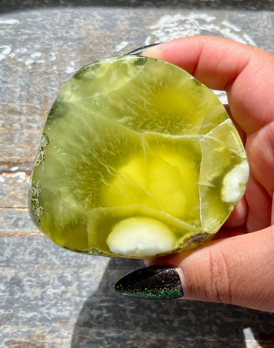 Gorgeous AAA Prehnite Polished Slab from Australia *Tucson Gem Show Exclusive*