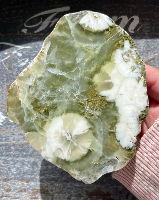 Gorgeous AAA Prehnite Polished Slab from Australia *Tucson Gem Show Exclusive*