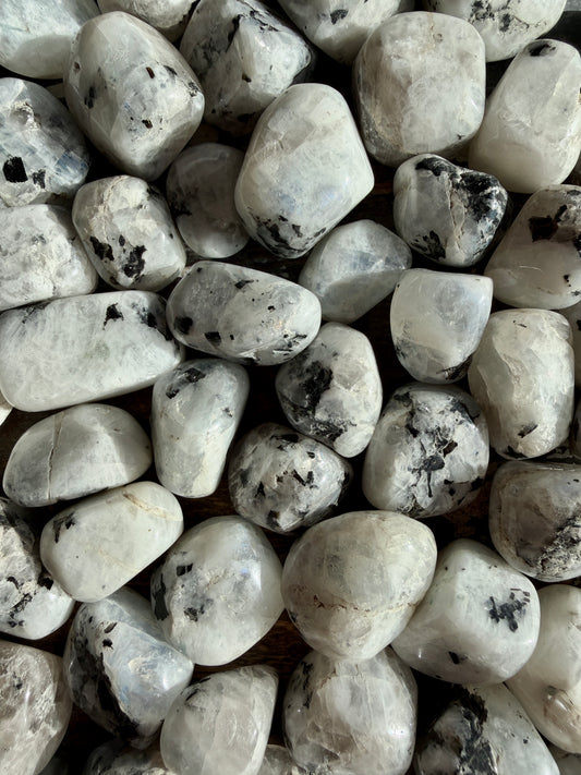 One (1) Rainbow Moonstone Tumble