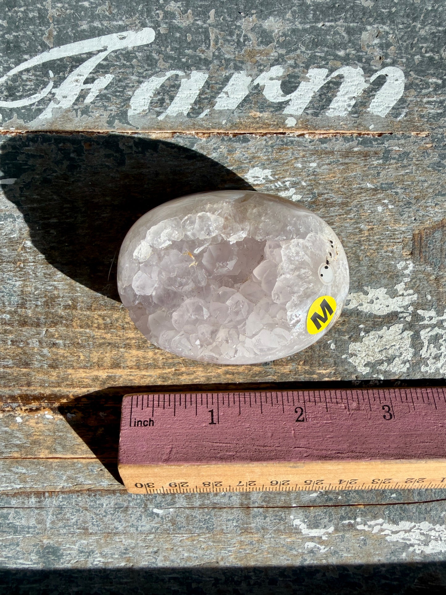 Gorgeous Indonesian Scenic Moss Agate Palm Stone | Opt M