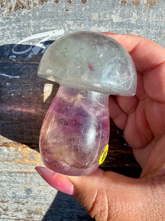 Gorgeous Rainbow Fluorite Mushroom | Opt W