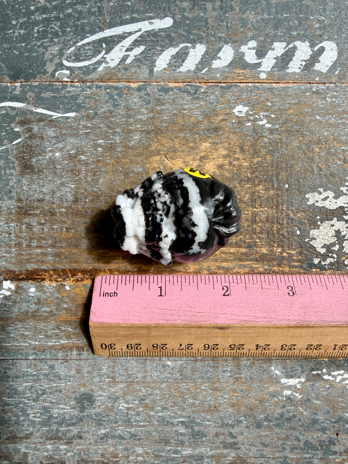 Zebra Jasper Dragon Turtle | Opt M