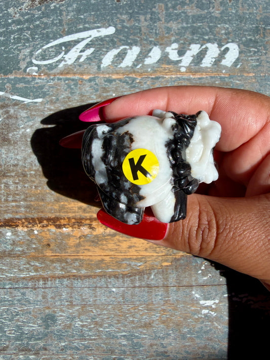 Zebra Jasper Dragon Turtle | Opt K