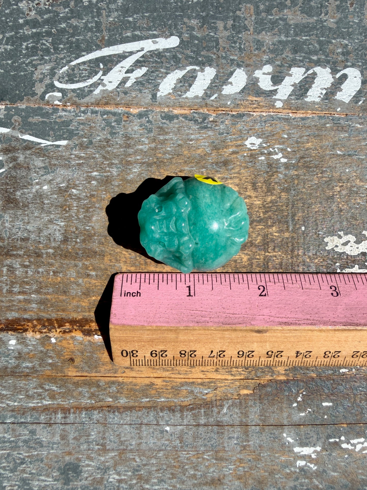 Amazonite Dragon Turtle | Opt X