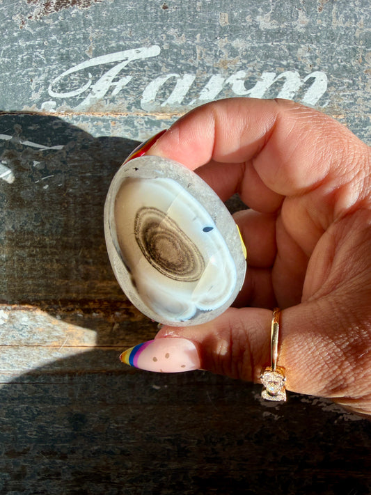 Black Sardonyx Egg | Opt K