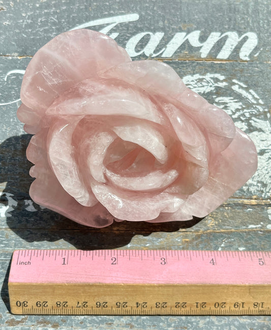 Gorgeous Hand Carved XL Rose Quartz Rose