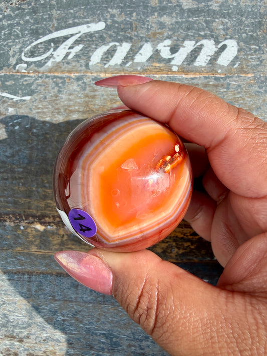 Gorgeous Carnelian/Orca Agate Sphere | Opt 14