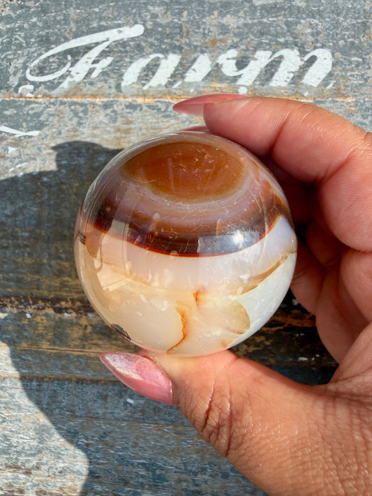 Gorgeous Carnelian/Orca Agate Sphere | Opt 36