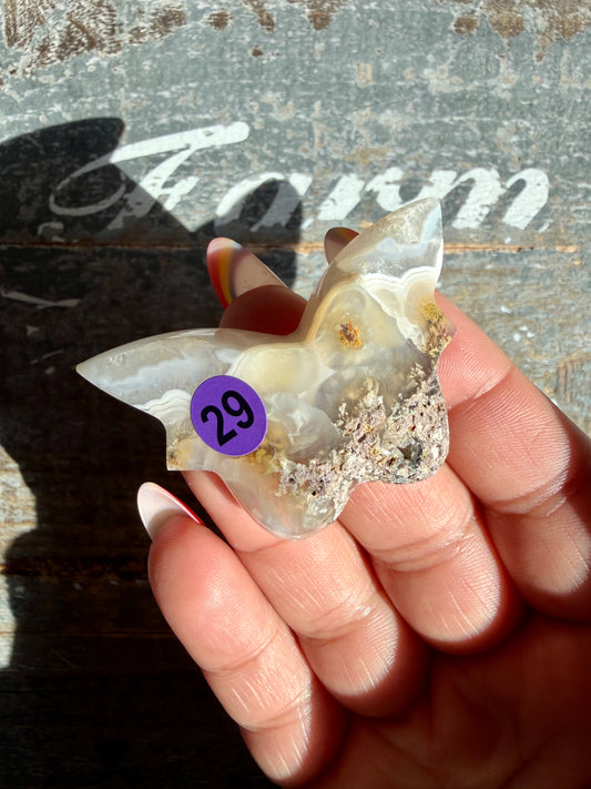 Gorgeous Indonesian Scenic Moss Mini Butterfly | Opt 29