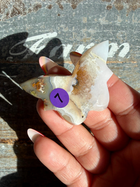 Gorgeous Indonesian Scenic Moss Mini Butterfly | Opt 7