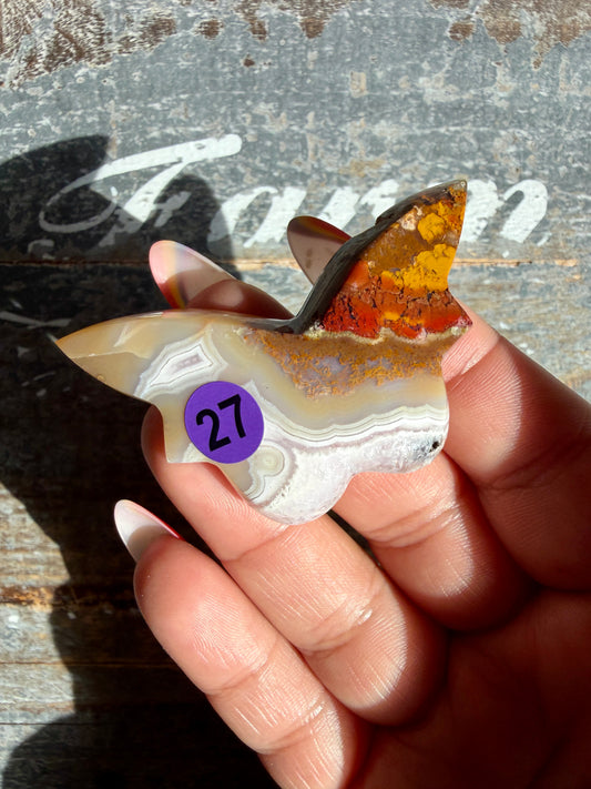 Gorgeous Indonesian Scenic Moss Mini Butterfly | Opt 27