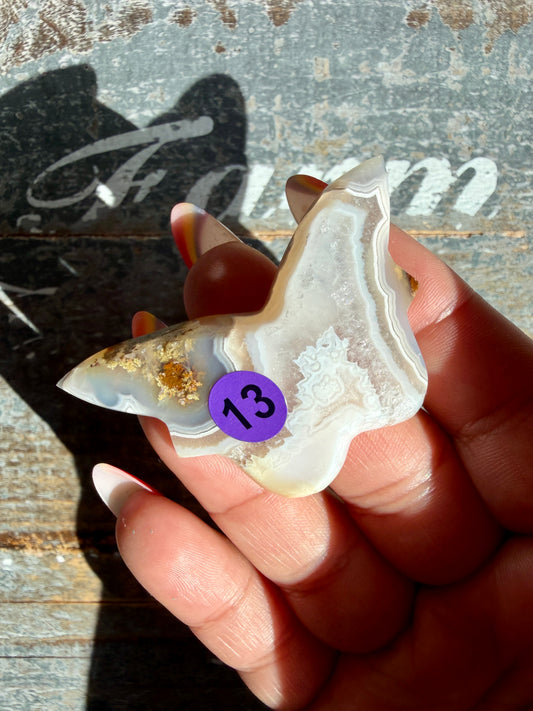 Gorgeous Indonesian Scenic Moss Mini Butterfly | Opt 13