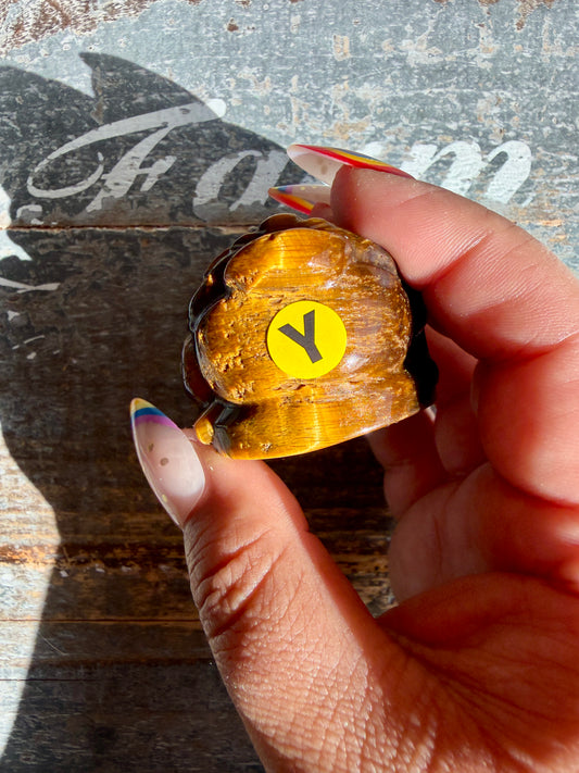 Tigers Eye Money Toad | Money Manifestation | Opt Y