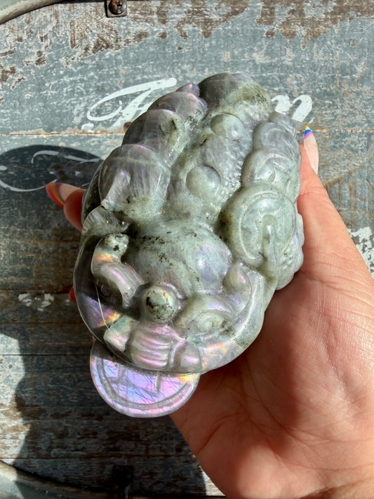 Flashy Large Labradorite Money Toad | Opt H