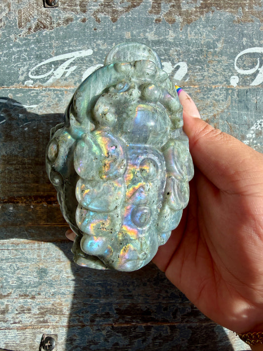 Flashy Large Labradorite Money Toad | Opt G
