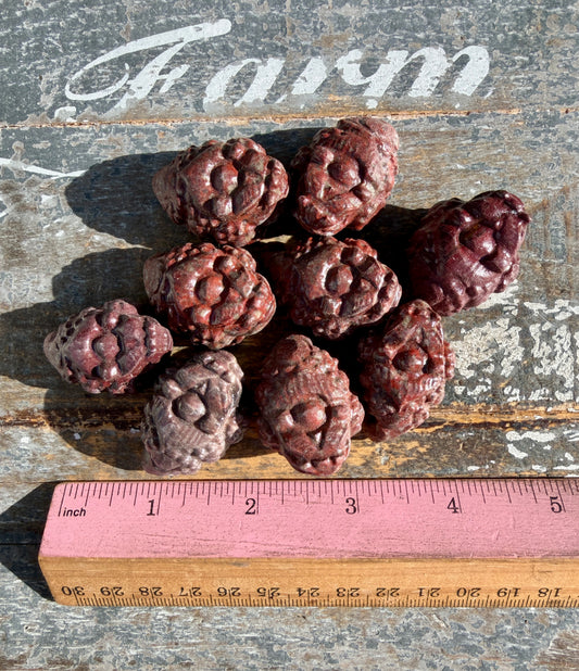 One (1) Red Mookaite Money Toad | Intuitively Chosen
