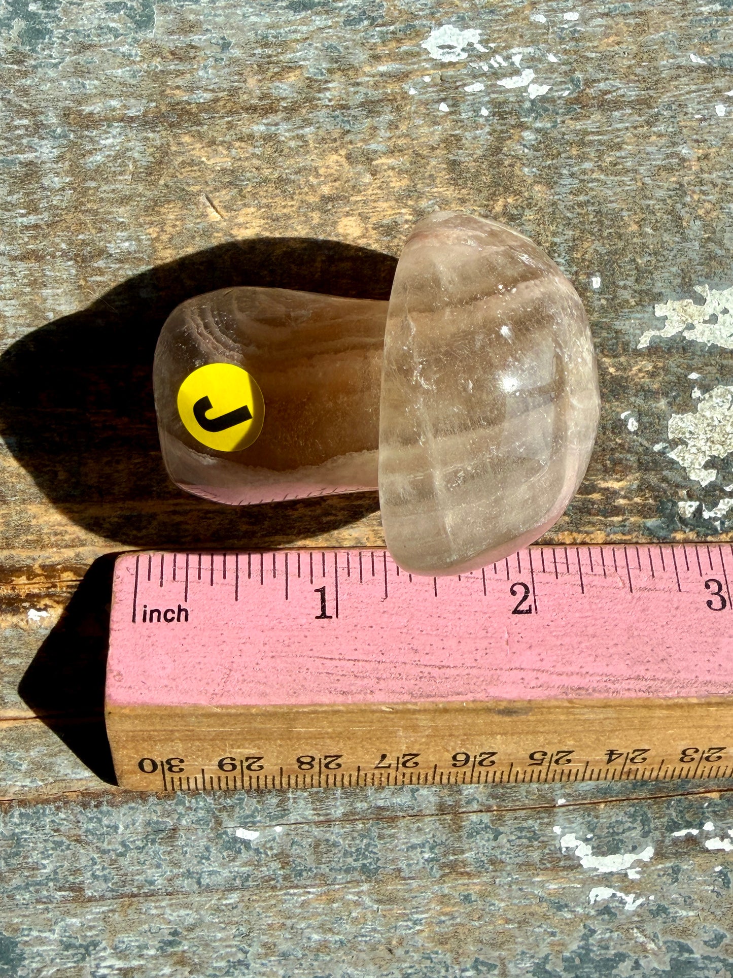 Adorable Fluorite Mushroom | Opt J