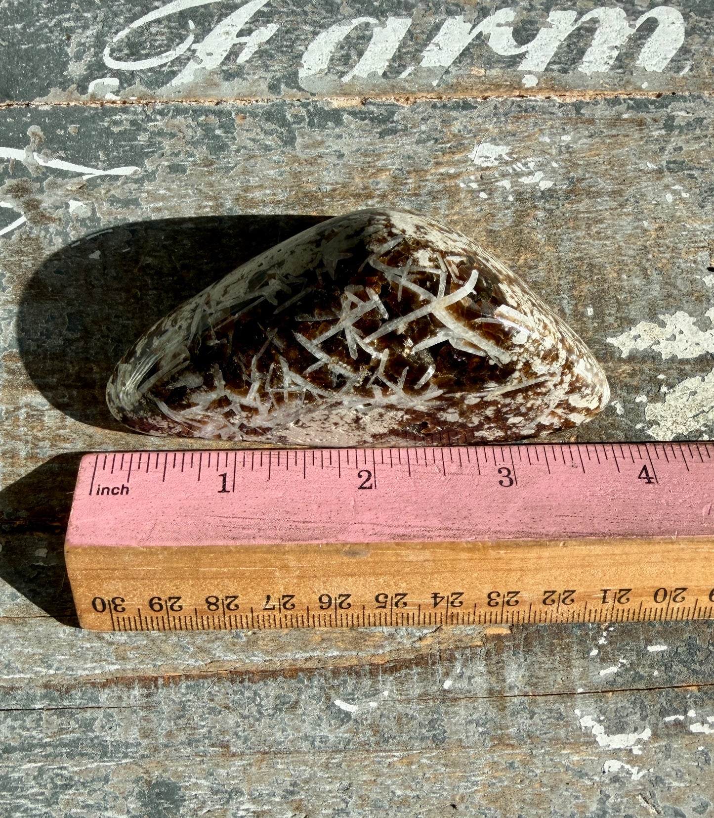 RARE Phlogopite Mica from New Jersey, USA - Sourced at the Denver Gem Show - Opt H