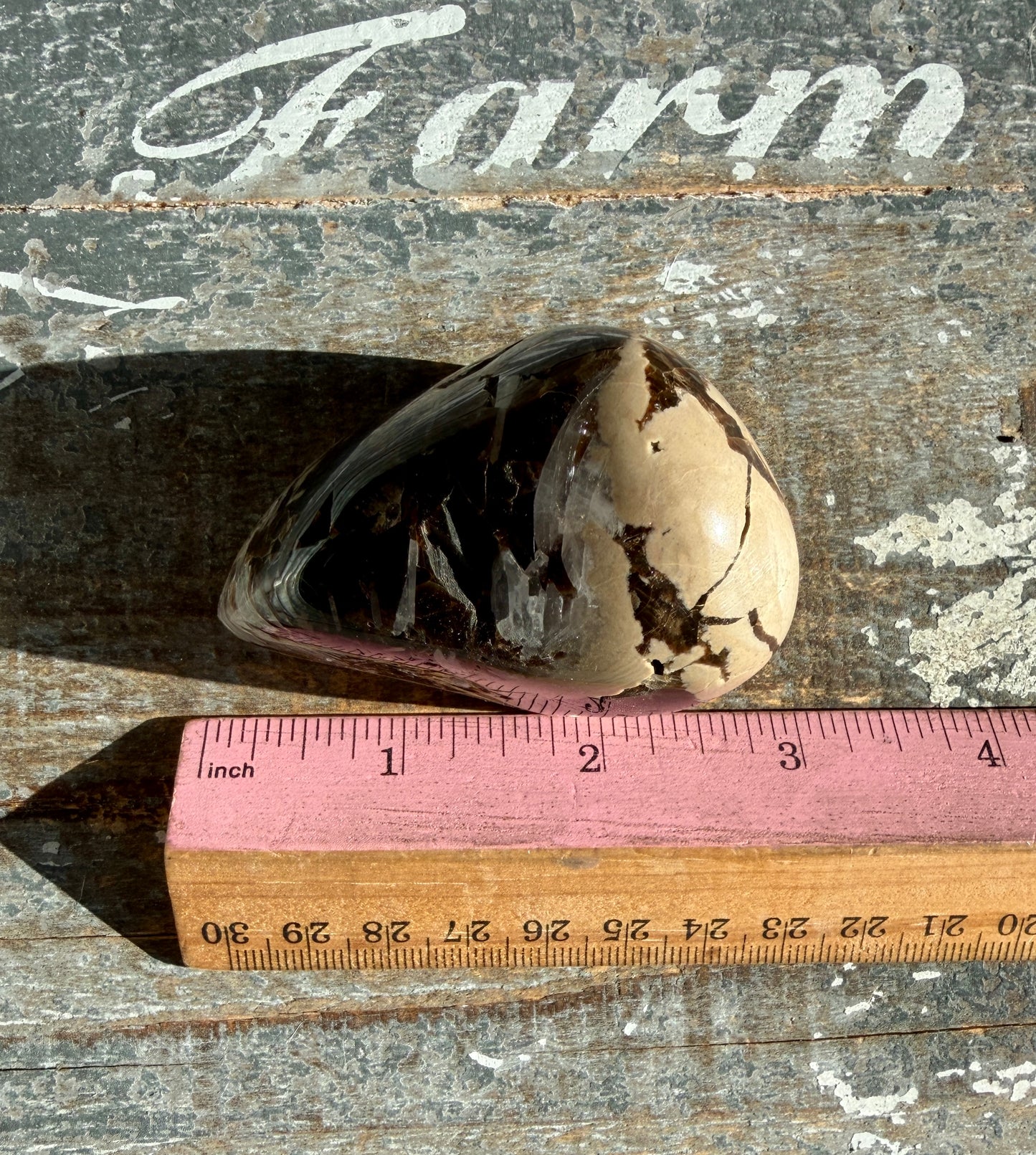 RARE Phlogopite Mica from New Jersey, USA - Sourced at the Denver Gem Show - Opt G