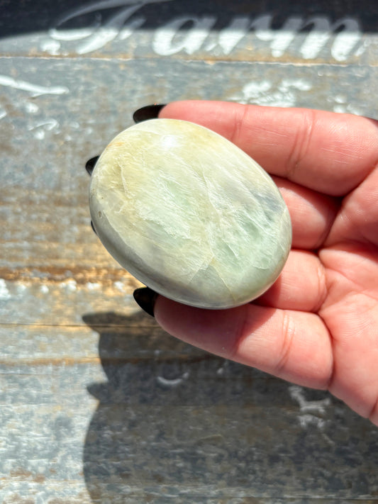 Gorgeous *RARE Green Parrot Moonstone Palm Stone from India | Z