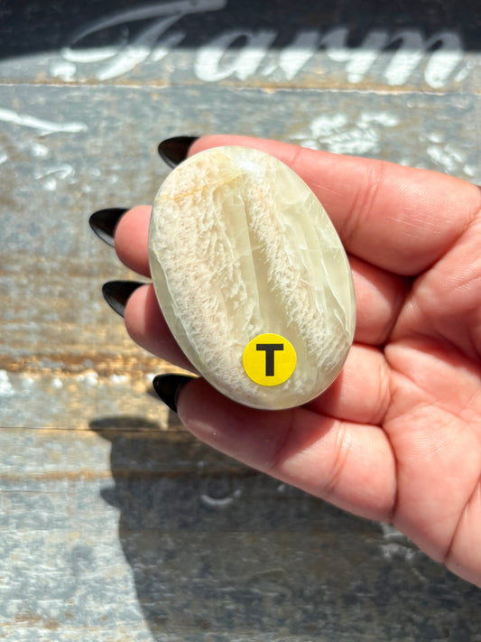 Gorgeous *RARE Green Parrot Moonstone Palm Stone from India | T