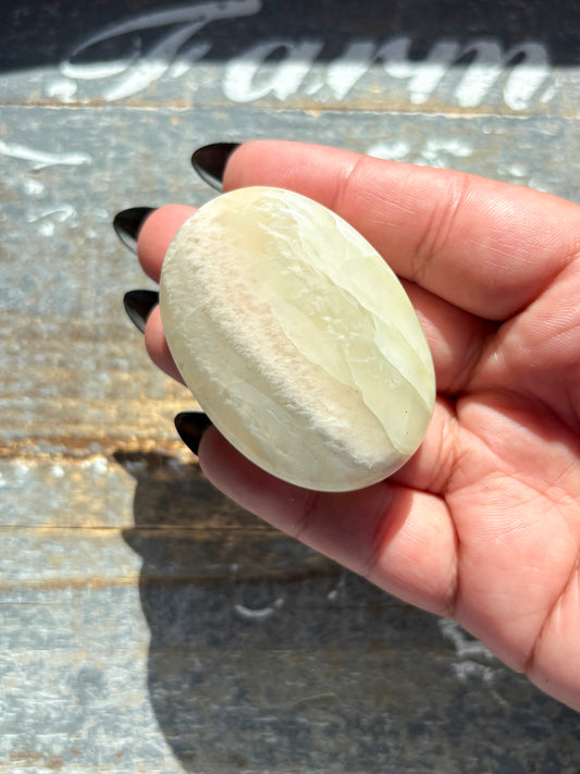 Gorgeous *RARE Green Parrot Moonstone Palm Stone from India | T