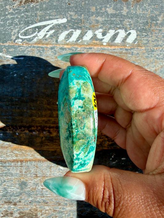 Gorgeous Chrysocolla/Azurite Palm Stone from Peru | Opt M