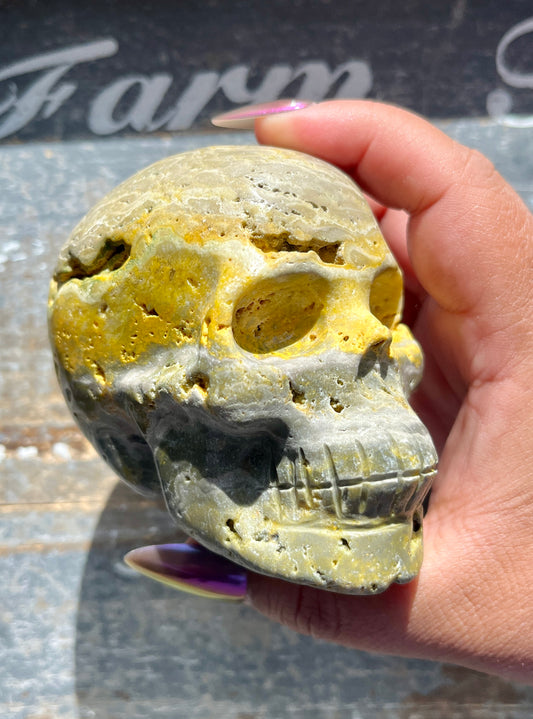 Gorgeous Bumble Bee Jasper Skull from Indonesia